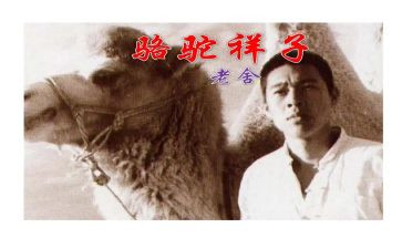 读骆驼祥子读书心得体会通用5篇