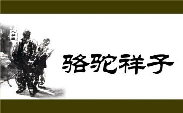 读骆驼祥子读书心得体会推荐7篇