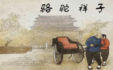 读骆驼祥子读书心得体会8篇