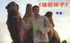 骆驼祥子心得体会参考6篇