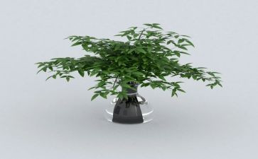 春天的那一抹绿作文5篇