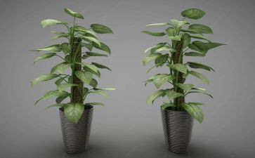 绿化个人总结最新6篇