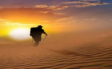 2024年温暖的旅程读后感5篇