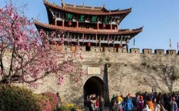 旅游情况调查报告5篇