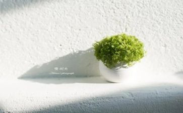 傲慢和偏见读后感通用5篇