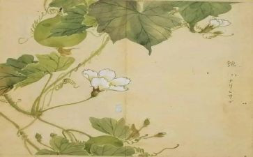 氓读后感800字优质6篇