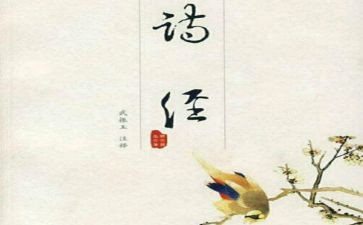 氓读后感800字最新6篇