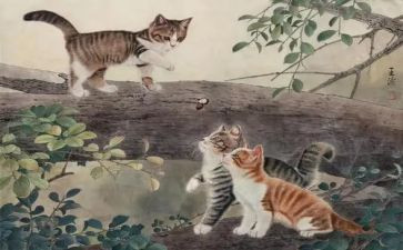 写小猫的作文300字精选7篇