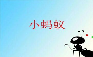 大蚂蚁和小蚂蚁教案精选5篇