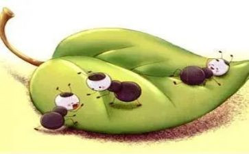 大蚂蚁和小蚂蚁教案最新7篇