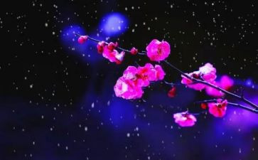 我爱梅花作文优秀7篇