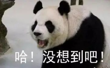 没想到作文8篇