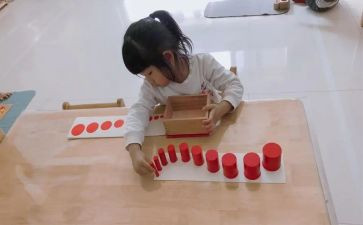 蒙氏中班幼师个人总结6篇