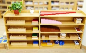 幼儿园蒙氏教学总结精选5篇