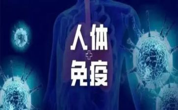 免疫工作年终总结5篇