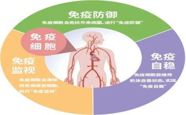 计划免疫工作年终总结6篇