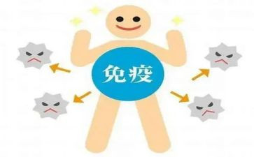 免疫科的心得体会8篇