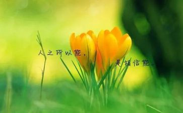 中外名人故事读后感6篇