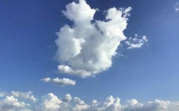 致明天的作文参考6篇