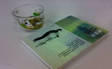 《目送》读书心得体会7篇