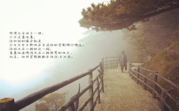 龙应台的目送的读后感5篇