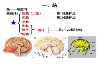 脑外科护士年终总结8篇