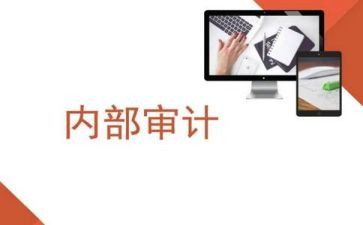 内审工作年度总结6篇