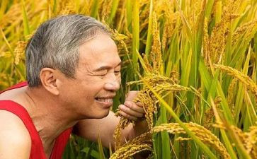 鱼和农夫的故事读后感6篇