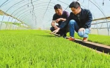 农技培训的心得体会5篇