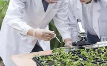 农科技站工作总结最新7篇