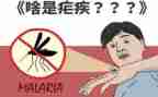 疟疾宣传日活动总结5篇