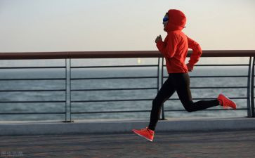 小班幼儿跑体育活动教案最新5篇