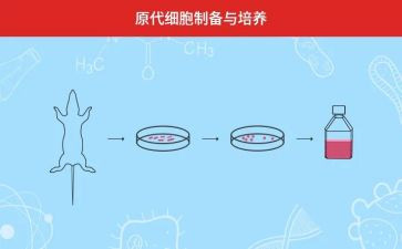 培养期总结报告5篇