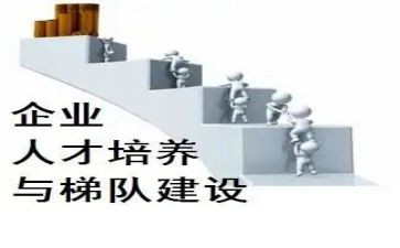 教师双培养的个人总结7篇