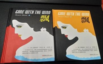 《飘》心得体会300字6篇