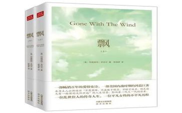 《飘》心得体会300字模板5篇