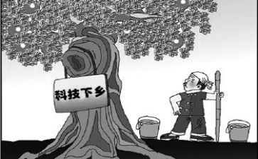 脱贫攻坚振兴乡村心得体会6篇
