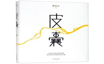 皮囊经读后感8篇