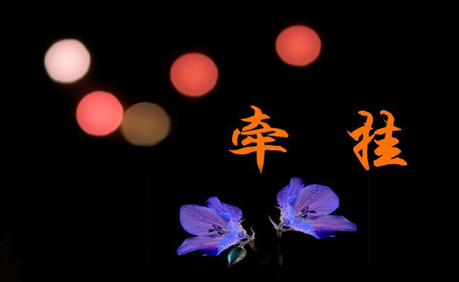 最牵挂的人作文500字5篇