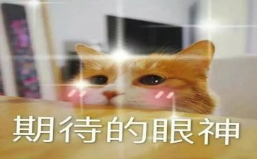 我期待的他作文7篇
