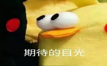 我期待作文范文5篇
