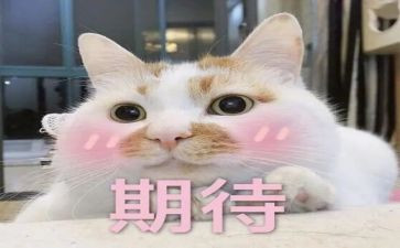 我期待的他作文模板6篇