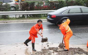 起航观后感8篇