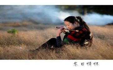 情怀与担当观后感5篇
