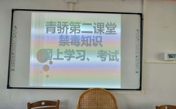 青骄课堂个人总结8篇