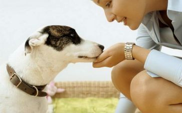 关于亲近自然的作文5篇