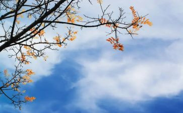 2023年中秋教师节演讲稿优秀5篇