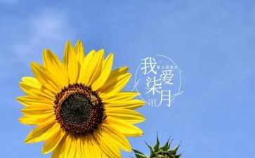 庆七月一讲话稿7篇