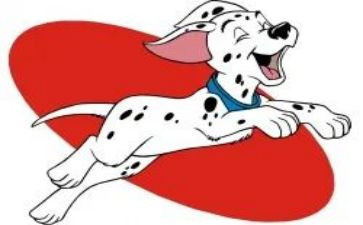 犬只管理工作总结模板5篇
