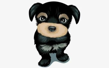 犬只管理工作总结推荐6篇